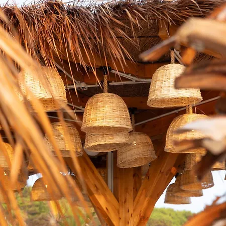 Hotell Albatros & Rrogozhine