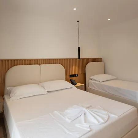 Albatros & Rrogozhine