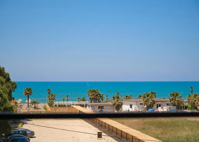 Albatros & Rrogozhine