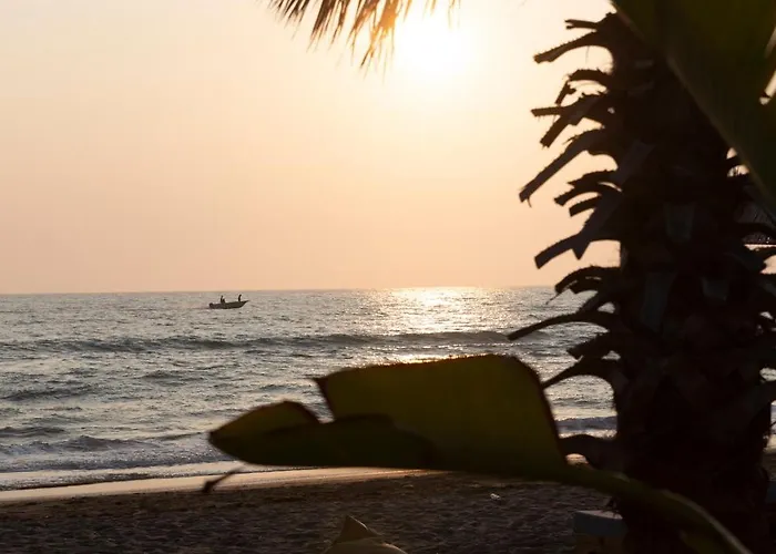 Ξενοδοχείο Albatros &