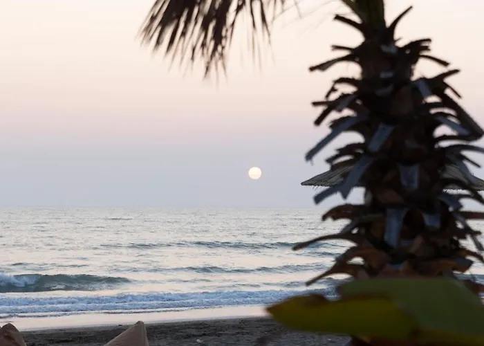 Hotel Albatros & Rrogozhine