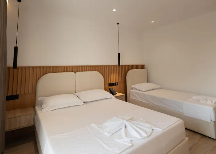 Albatros & Rrogozhine